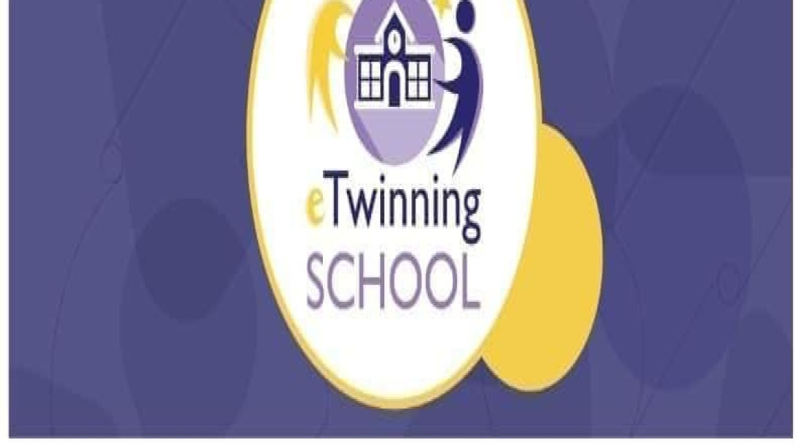  2024-2025 Dönemi eTwinning okul etiketi sonuçları açıklandı.
